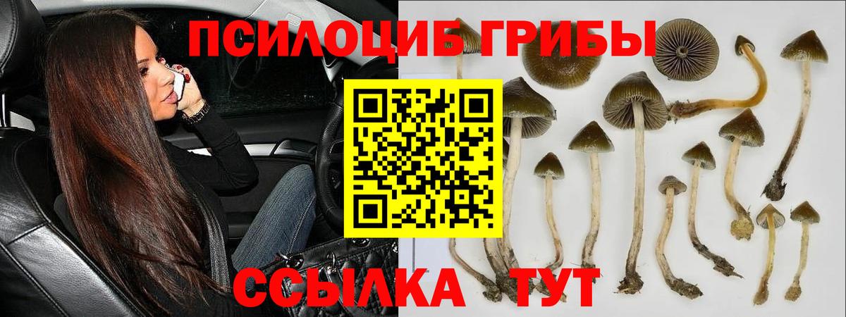 Псилоцибиновые грибы GOLDEN TEACHER  Вход с VPN  Хабаровск 
